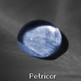 Petricor, fantasia e  mutamento tradotti in musica