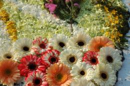 Poggio Moiano si veste di colori: dal 28 c'è l'infiorata