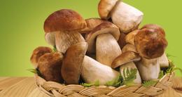 Oriolo Romano e i porcini: la sagra in due week end