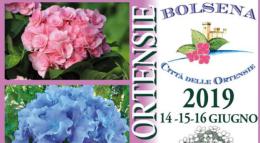 Al via la Festa delle Ortensie nel centro storico di Bolsena 