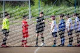 Nuovo Latina Lady - Lupa Frascati