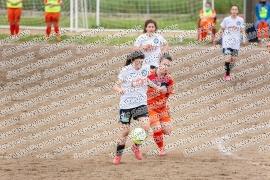 Nuovo Latina Lady - Ladispoli