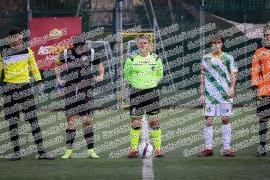 Grifone Gialloverde - ASA