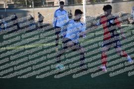 Spes Artiglio - Tor di Quinto