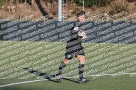 Boreale - Vigor Perconti