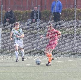 Pro Roma - Grifone Gialloverde