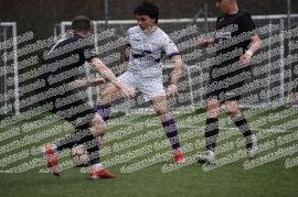 Boreale - Campus Eur