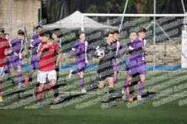 Boreale - Circolo Canottieri Roma