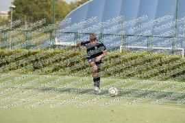 Tor di Quinto - Giardinetti