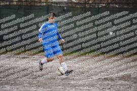 G. Castello - Grifone