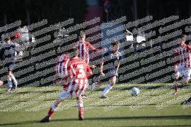 Tor Tre teste - Giardinetti