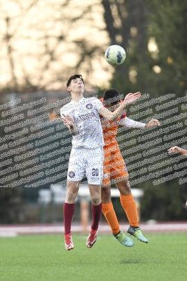 Lupa Frascati - Dabliu New Team