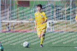 Frosinone - Salernitana