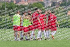 Principato di Colli - Boville Ernica