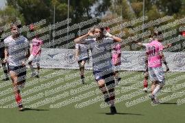 Grifone - Calcio Sicilia