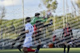 Grifone Monteverde - Fiano Romano