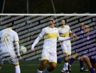 Boreale - Urbetevere