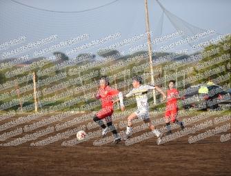 Polisportiva Carso - Pomezia