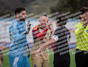 Boville Ernica - Canarini