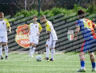 Magnitudo - Vigor Perconti