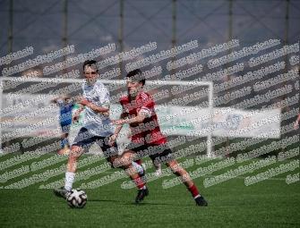 Boville - Vivace Grottaferrata