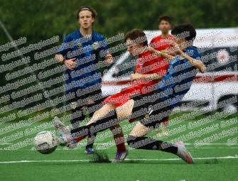 Guidonia Montecelio - Latina