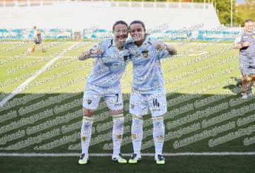 Frosinone - Vicenza 