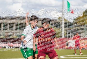 Roma - Avellino