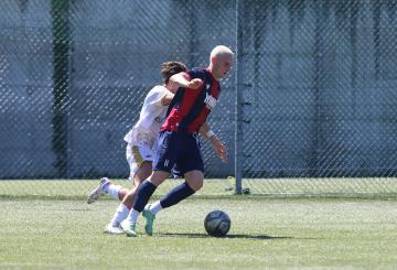 Sorianese, Spolverini