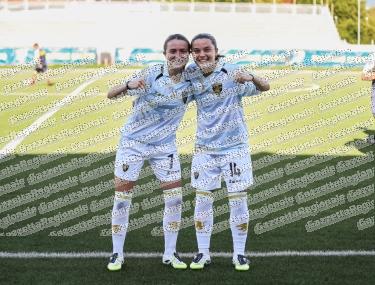 Frosinone - Vicenza 