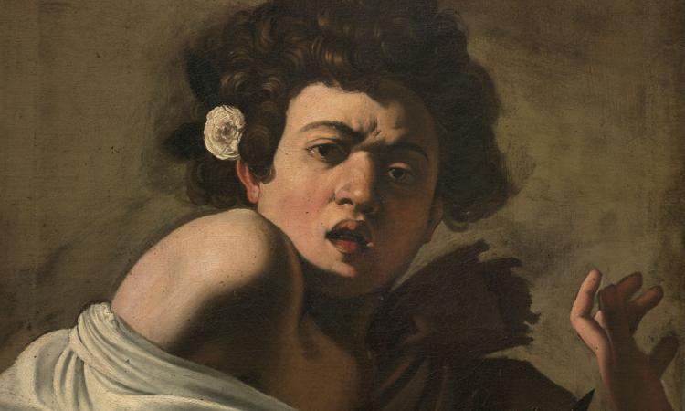 Ragazzo morso da un ramarro