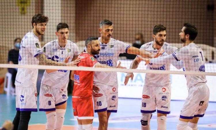 Top Volley