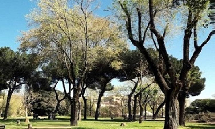 Roma punta sul verde: patto con  i volontari di Retake