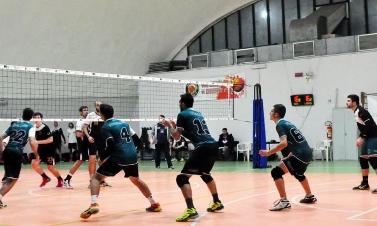 Green Volley