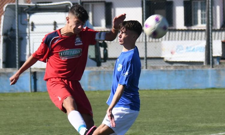 Damiano Passa