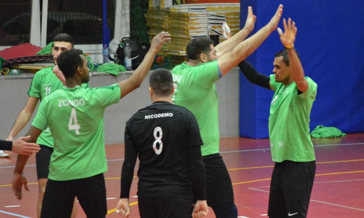 Green Volley