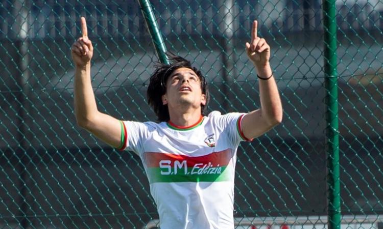 Tommaso Taviani