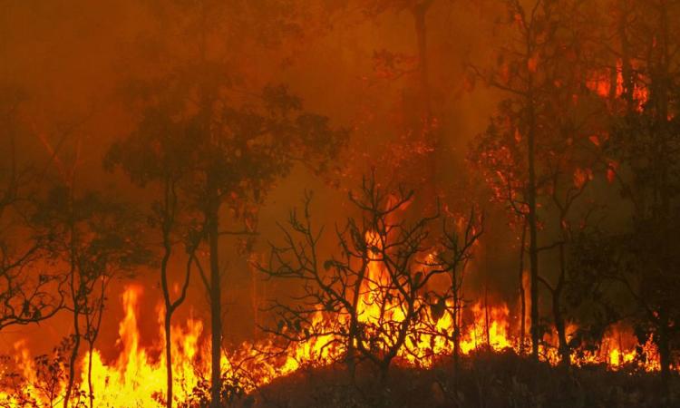 Incendi
