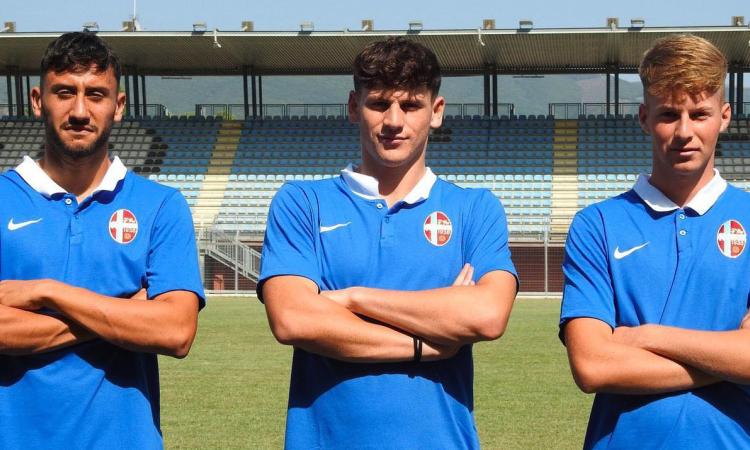 Canestrelli, Cerroni, Mauro