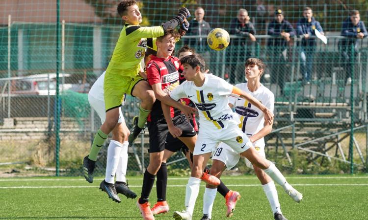 Viterbese in azione