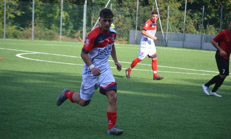 Mattia Nuzzi