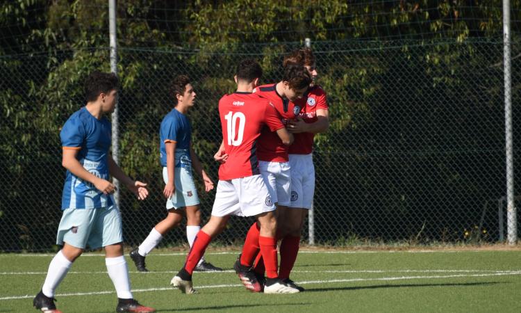 Grifone