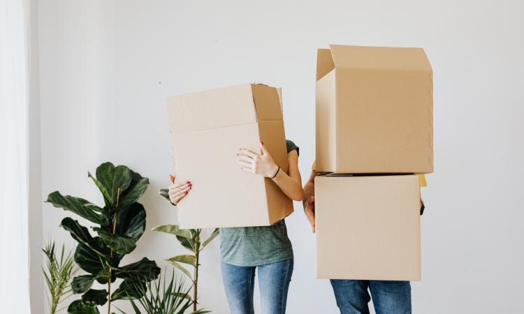 trasloco