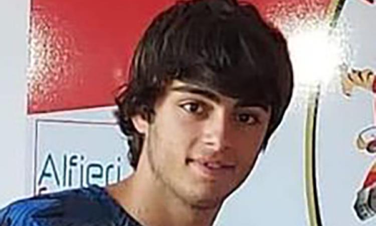 Porcu