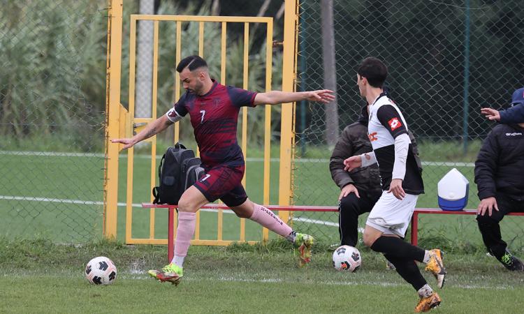 Unipomezia