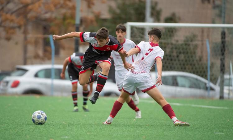 Giardinetti in azione