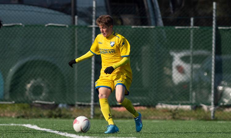 Bauco in azione