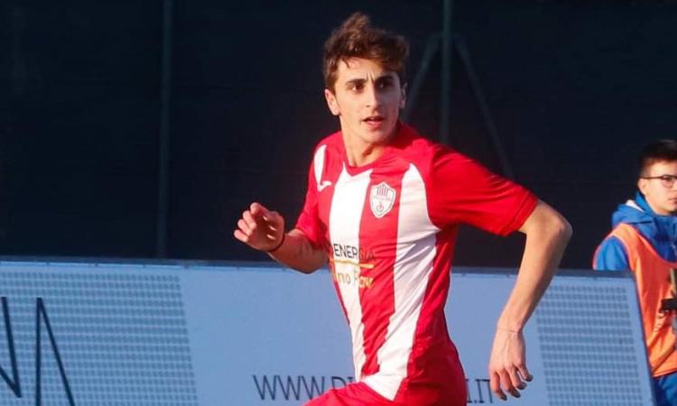 Bernardo Mariucci, talento del Tiferno Lerchi