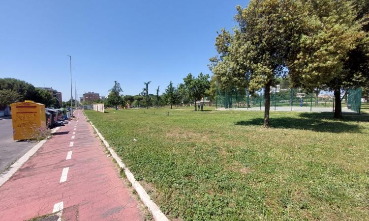 Parco Nicholas Green