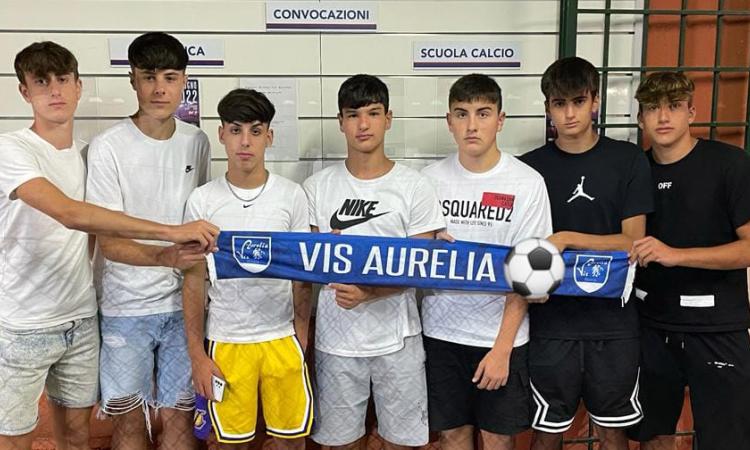 Vis Aurelia